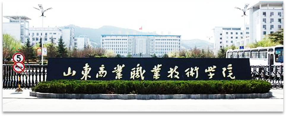  新盛官网