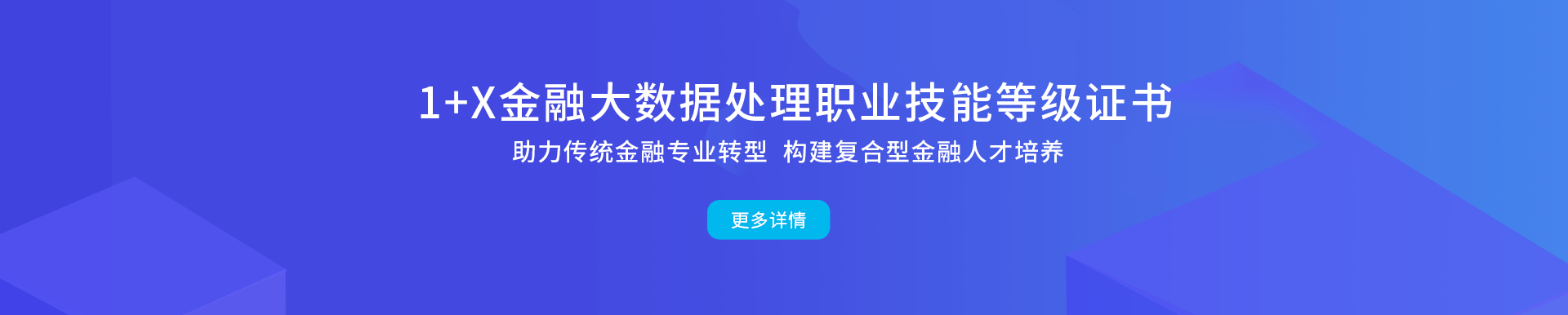 1+X职业技术等级证书